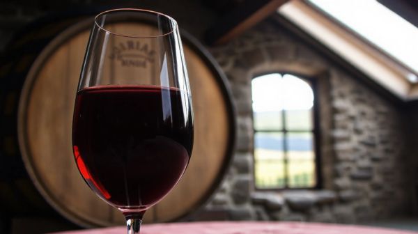 Comment l'intelligence artificielle révolutionne le vin
